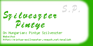 szilveszter pintye business card